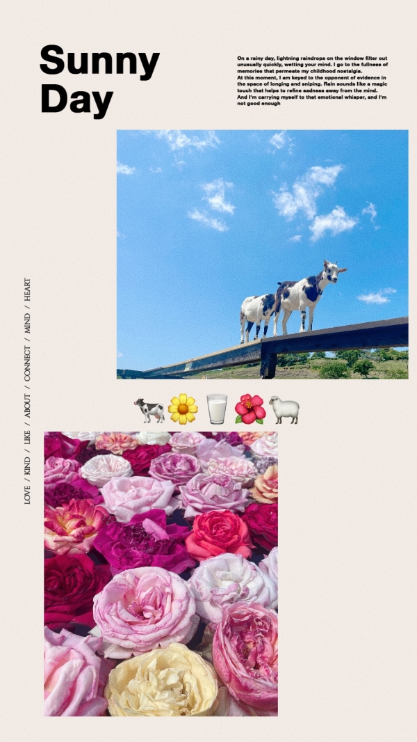 プライベート＆出勤のお知らせ🌿🥯画像