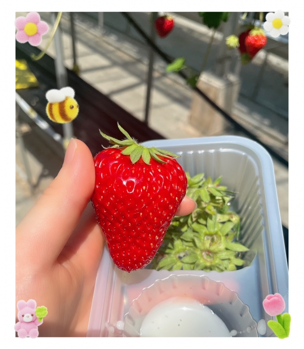 本日‪🪻‬🫧画像